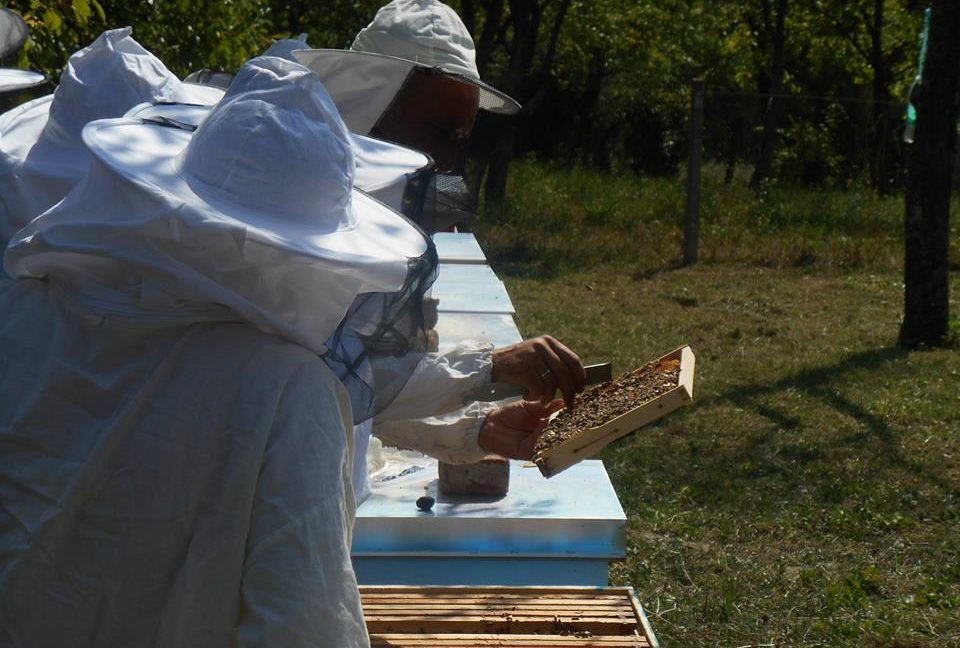 Praktična obuka iz pčelarstva